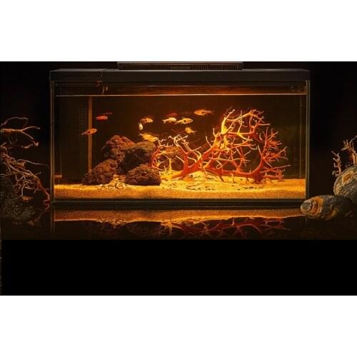 Домашние аквариумы XINCHEN China At AliExpress