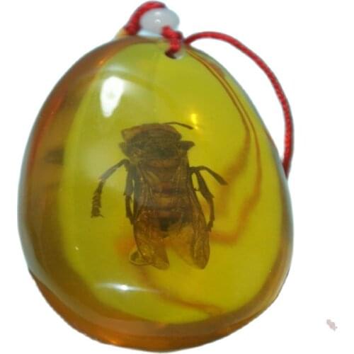 China Old Amber Unique WaspAmber Pendants classic art collection and home decorations