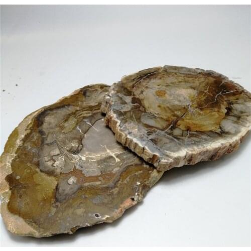 1 pc natural wood fossil stone natural quartz crystal specimen slice crystal slab for decoration or coaster