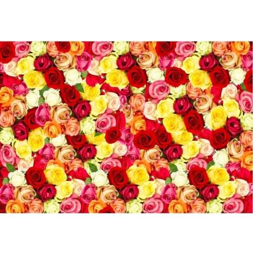 Flower Backdrop Yellow and Red Roses Scenery Party Photography Background Holiday Celebration Photo Booth Studio Decor