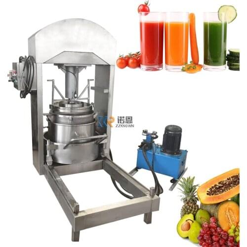 Hydraulic Cold Press Juicer Machine Fruit and Vegetable Filter Press Equipment Commercial Rice Grape Red Wine Pressing Machine