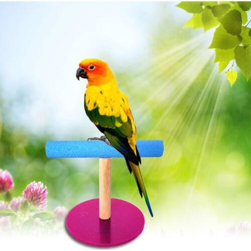 Parrot Rest Toy Office Desktop Wood Frosted Acrylic Stand Bird Perch Play Support