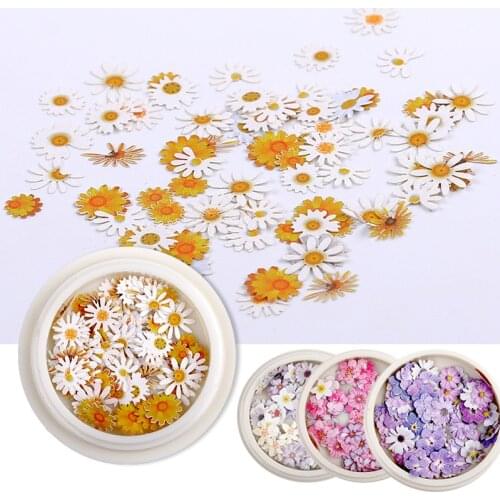 Nail Art Color Mixed Flower Wood Pulp Piece Small Daisy Rose Fresh Pastoral Nail Dried Flower Patch DIY Nail Art Decoration