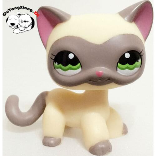 CWM012 Pet Shop Animal Gray glasses Green eyes cat doll action Figure kitten