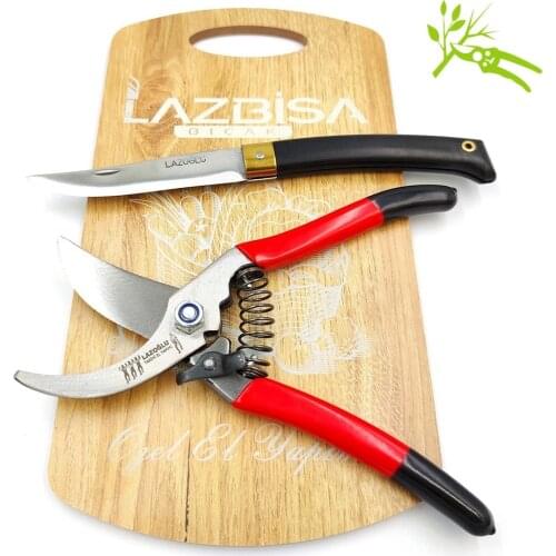 Vineyard Garden Tree Branch Pruning Shears Cutting Trimming Shears Garden Scissor Tool Anvil Branch Shear Orchard Pruning Shears