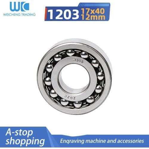 Double-row ball self-aligning ball bearing 1203