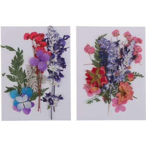 2 Pack Multi Real Pressed Dried Flowers For Scrapbooking Card DIY Decor Art Craft Phone Case Making Materials flores secas