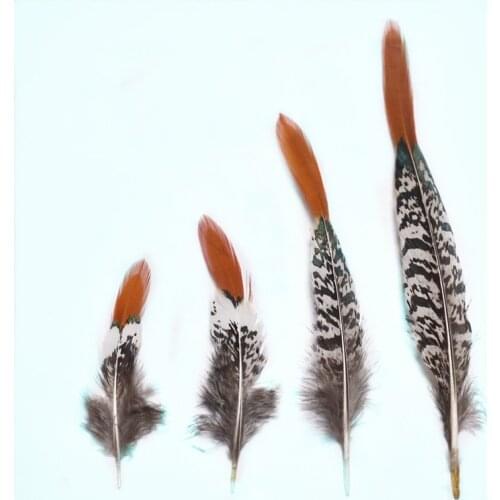 20pcs natural red Pheasant feathers materials plumes 5-30cm DIY feathers for jewelry making Carnival Headwear Party decorations