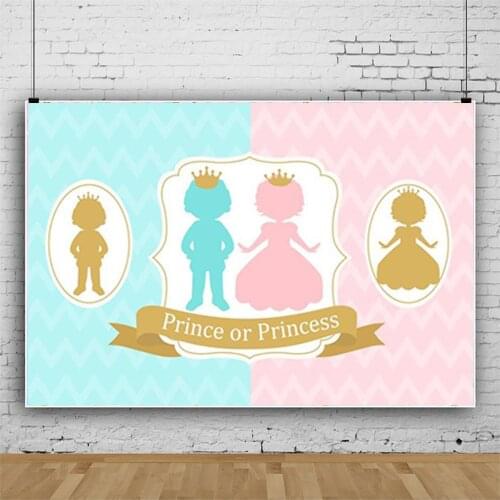 Boy or Girl Gender Reveal Background Blue Pink Dots Balloon Photography Backdrop Baby Shower Party Banner Backdrops