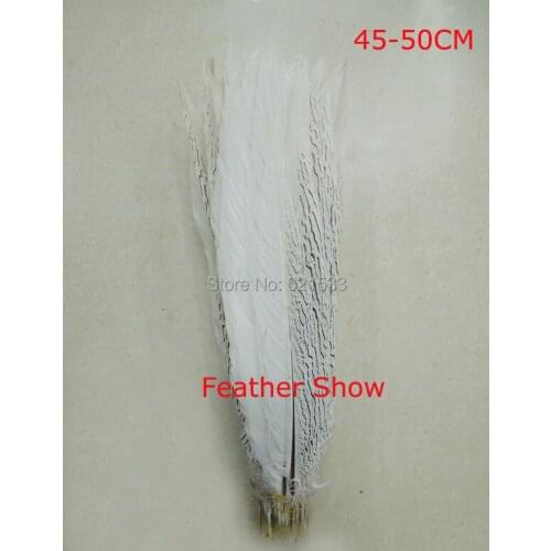 30Pieces/lot-45-50CM long NATURAL SILVER Pheasant Tail Feathers,Silver Pheasant Tails,loose long pheasant tail feathers