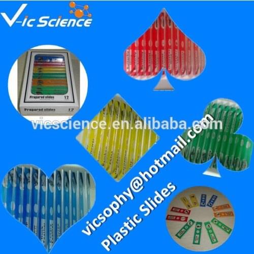 Plastic Prepared Slides