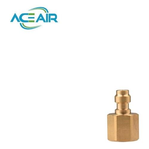 Brass Quick Coupler Plug 1/8NPT M10