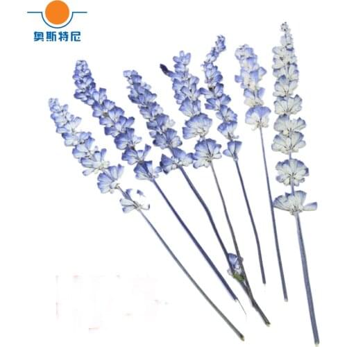 15pcs Free shipping organic natural dried press lavender flower