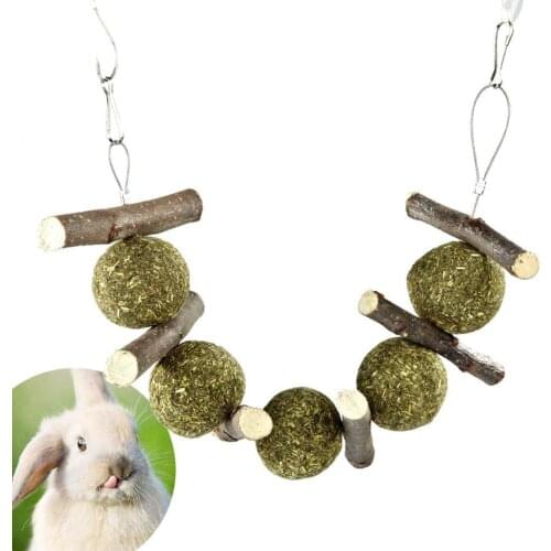 Rabbit Bunny Teeth Cleaning Dental Health Apple Sticks Grass Hay Ball Chew Toy