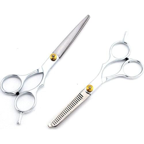 2 Pcs Hair Scissors Stainless Steel 5.5/6 Inch Cutting Thinning Styling Tool Salon Hairdressing Shears Regular Flat Teeth Blades