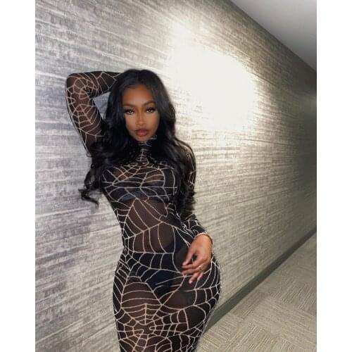 Fashion Spider Web Print Sheer Mesh Black Dress for Women Sexy O Neck Long Sleeve See Through Bodycon Club wear Party Dresses