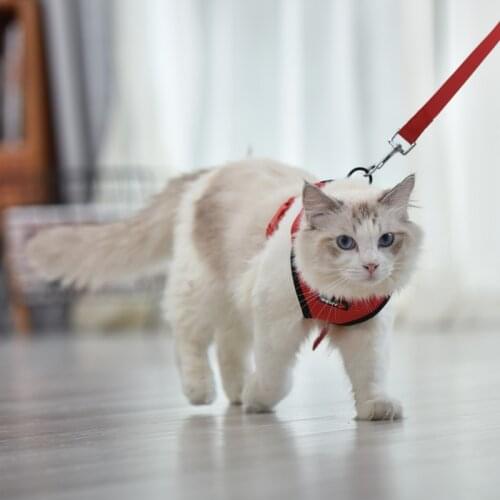 Reflective Pet Cat Harness Nylon Mesh Kitten Puppy Dogs Harness Vest For Small Dog And Cat Adjustable Breathable Harness S-XL