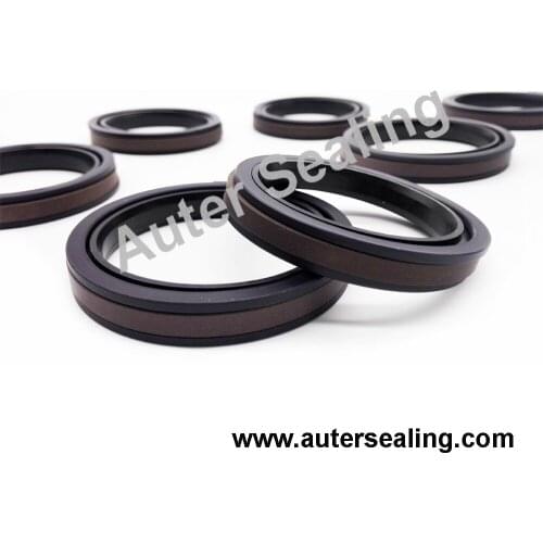 SPGW 90/100/110/120/125/130/140/150/160/165/170/180/200/250 Piston PTFE compact seal PTFE BRONZE / NBR / POM PDH rubber ring