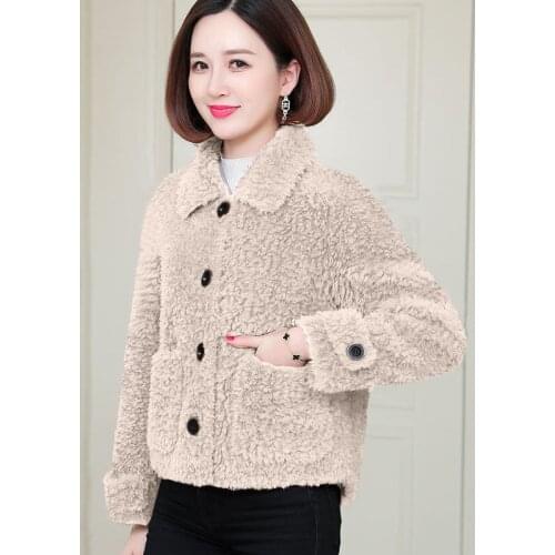 Faux Fur Coats For Women Autumn Winter Elegant Lapel Long Sleeve Single Breasted Thick Plush Jacket Casual Solid Female Outwear