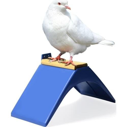 10pcs Pigeon Rest Stand Dove Bird House Parrots Blue Plastic Pigeon Dove Birds Rest Stand Frame Dwelling Perch Bird Supplies