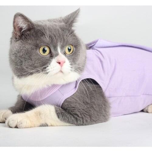 Pet Cat Spring Hoodies Protective Clothing Physiological Clothing Weaning Clothes Postoperative Clothing Anti-licking Elastic
