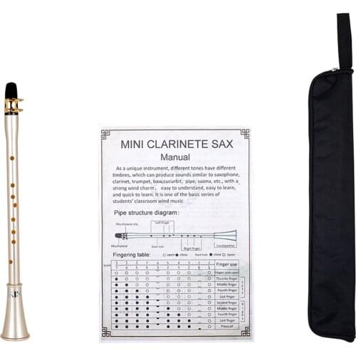 Pocket Saxophone Kit Portable Resin Mini Sax Alto Saxophone With Carrying Bag Fingering Chart For Beginners Woodwind Instrument