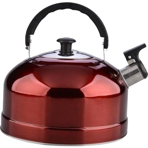 Mini Stainless Steel Whistling Kettle Water Teapot Kitchen Restaurant 4L