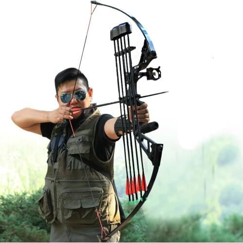 25-50 Pounds Adjustable Hunting Archery Bow Recurve Bow Outdoor Shooting Bow And Arrow Equipment Bow Limb Bow And Arrow Equipmen