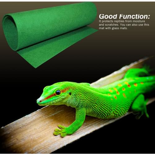 Lizard turtle snake crawling carpet pet crawling mat Water-absorbing moisturizing landscap mat tortoise terrarium climbing tank