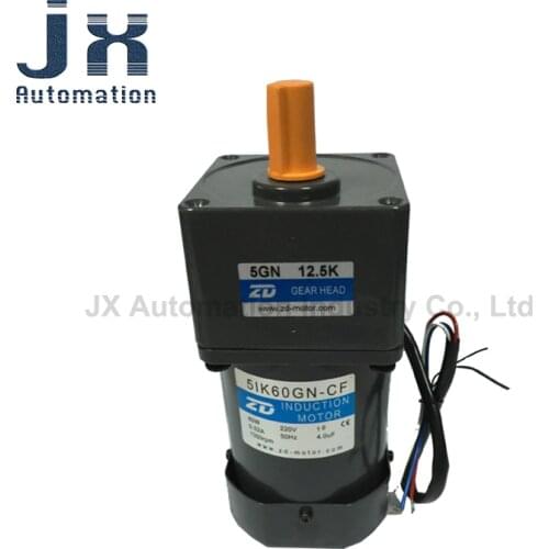 60W 220V ZD AC Speed Motor 5IK60RGN-CF-5GN12.5K For Conveyor Belt