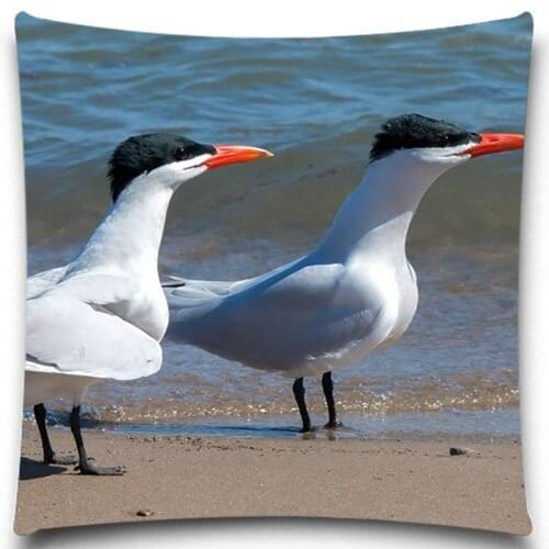 Seabirds Walking on the beach 2D print creative Pillow case Square cotton polyester cushion cover 5 size 9 style