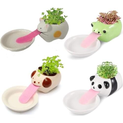 Cute Polar /Bear Blue /Bear Monkey Ceramic Flower Pot Small Cartoon Planter Succulent Plants Bonsai Cactus Pot Home Garden