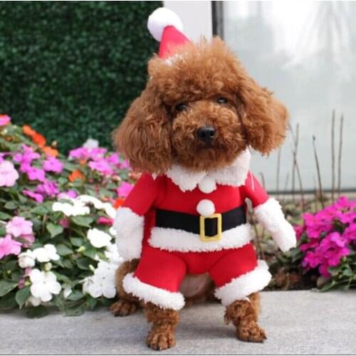 Santa Pet Dog Costume Christmas Clothes for Small Dogs Winter Dog Hooded Coat Jackets Puppy Cat Clothing Chihuahua Outfit
