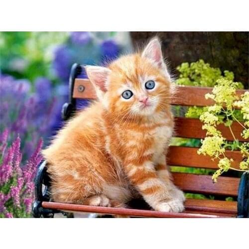 GATYZTORY DIY Pictures By Number Animal Kits Painting By Numbers House Cat Drawing On Canvas Hand Painted Paintings Gift Home De