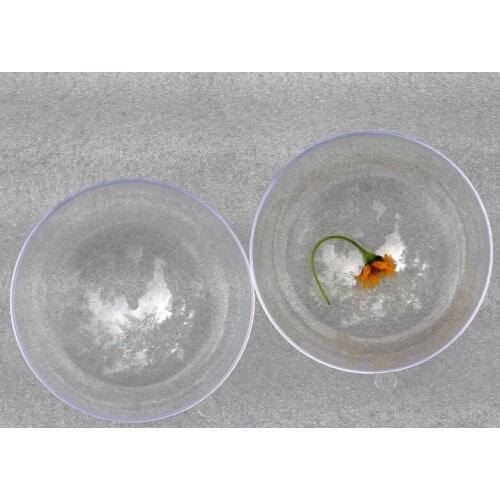 10cm diameter Plastic Transparent ball Christmas decoration ball Candy balls Gift box