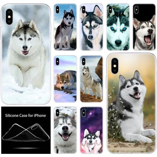 Luxury Silicone Phone Case Alaskan Malamute Siberian husky dog for Apple iPhone 11 Pro XS Max X XR 6 6S 7 8 Plus 5 5S SE Cover