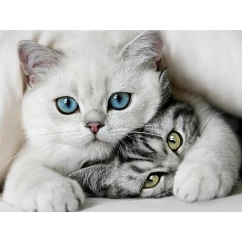 5D DIY Diamond Painting Cross Stitch White cat Animals Diamond Embroidery Needlework Mosaic Picture Rhinestone Home Decor Gifts