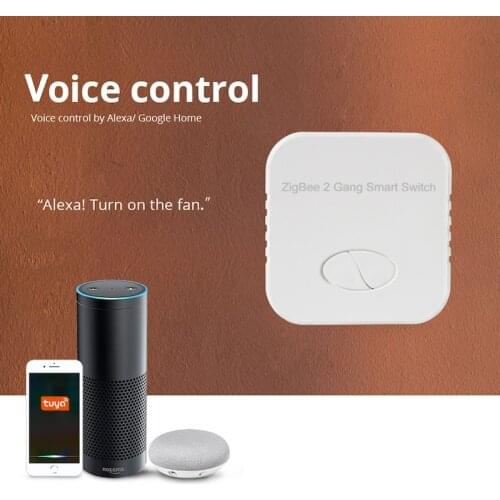 Tuya ZigBee 3.0 Mini Wireless Smart Switch Relay Module 2 Gang Remote control work with Alexa Google Home Assistant