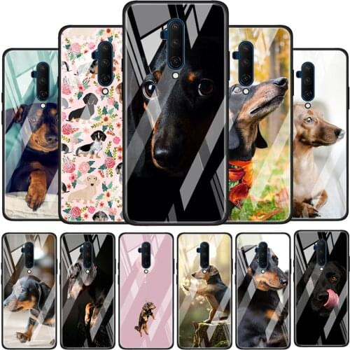 Dachshund Dog Tempered Glass Cover For OnePlus 9 R 8T 8 Nord Z 7 7T Pro 5G Silicone Phone Case Coque Shell