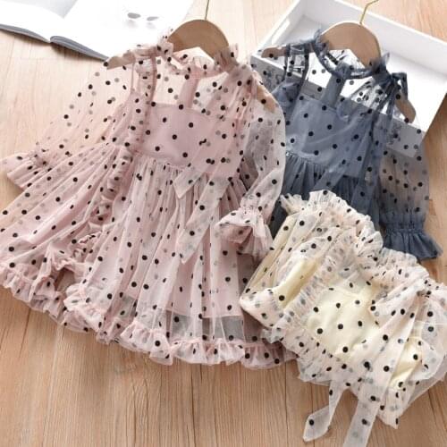 Girls' Mesh Pleated Polka Dot Dress for 2020 Autumn New Childrens Long-Sleeved Cartoon Embroidery Cake Skirt Boutique Clothing