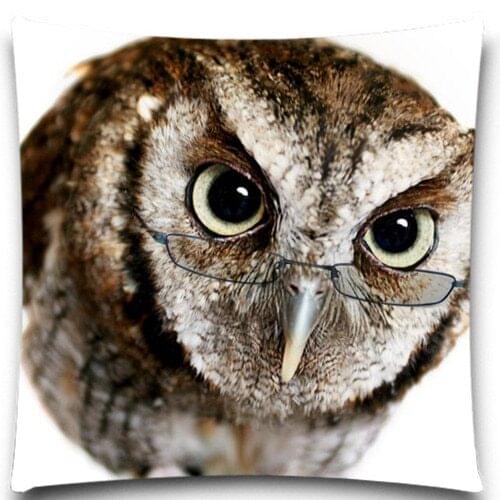 An owl with glasses 2D print creative Pillow case Square cotton polyester cushion cover 5 size 9 style