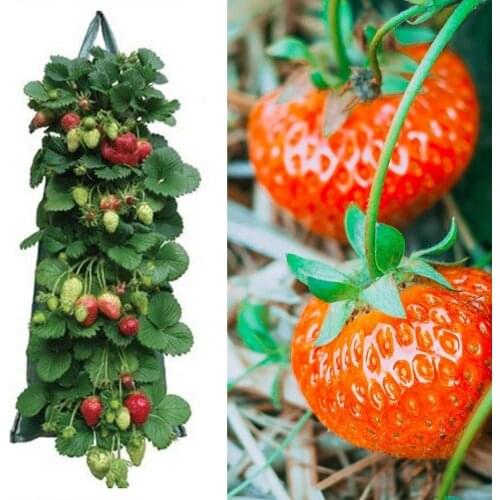 PE Planting Bag Hanging Breathable Fabric Plant Pots With Handles Strawberry Seeds Growing Hanging Vegetables Planting Grow Bags
