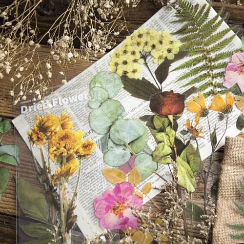6 Pieces/pack Decorative Stickers Flower Shop Series Plant Account Materials, DIY Decorative Diary Student Stationery Stickers