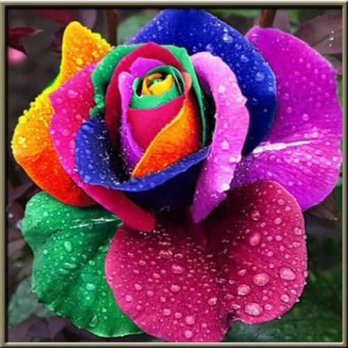 Mosaic Flowers 5D Diy Diamond Painting Full Drill Round Diamond Embroidery Colored Flowers Cross Stitch Home Decor Art