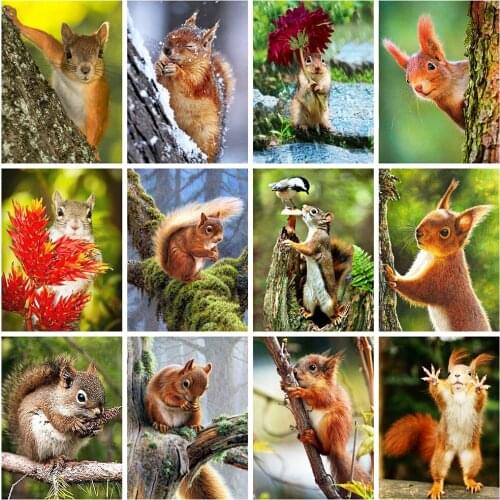 Full Square/Round Drill 5D DIY Diamond Painting Squirrel Animals Diamond Embroidery Cross Stitch Kit Home Decoration Art