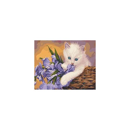 MaHuaf-W138 Gentle kitten DIY oil painting by numbers on canvas hand painted wall art picture for living room
