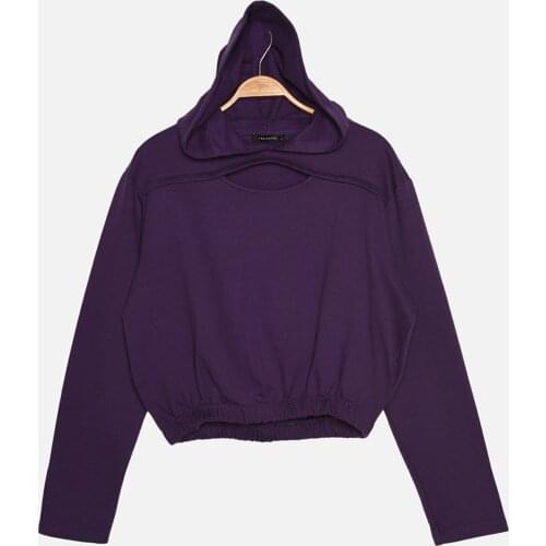 Trendyol Hooded and Şardonlu Basic Knitted Sweatshirt TWOAW22SW0639