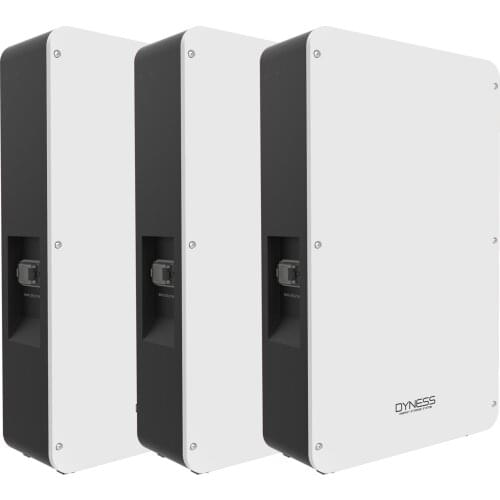 One module Dyness 50ah 48 volt lifepo4 lithium ion battery for home solar energy storage system