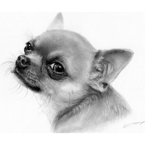 5D Diy Diamond Painting Cross Stitch black white Chihuahua dog Full Square Round Drill Rhinestones Mosaic Home DecorationZP-216