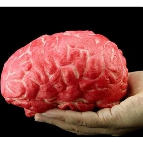 Halloween Ghost Day Simulation Brain Toys Horror Rubber Fake Human Brain Prop Toys Organ Body Part Halloween Decoration